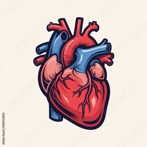 Stylized Vector Illustration of a Human Heart with Arteries and Veins, Medical Concept
