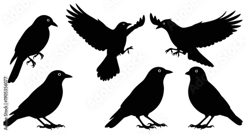 Collection of Black Bird Silhouettes in Various Poses, Isolated on White Background
