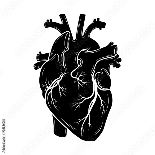 Stylized Black and White Vector Illustration of a Human Heart with Veins