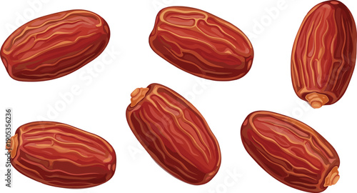 Illustration of Six Reddish-Brown Dates with Wrinkled Texture and Stem Ends, Representing Dried Fruit, Nutrition, and Cultural Cuisine