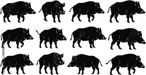 Set of Twelve Black Silhouette Illustrations of Wild Boars in Different Poses, Representing Wildlife, Animal Behavior, and Nature Design