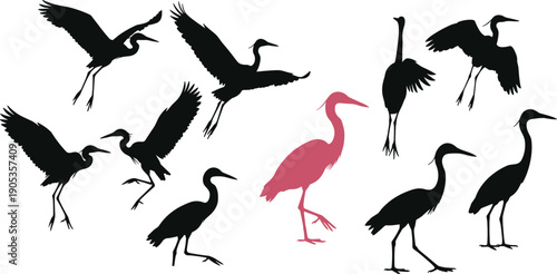 Silhouettes of herons and cranes, one pink bird standing out, concept of individuality, uniqueness, wildlife, nature, birds in flight, standing