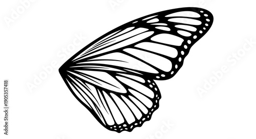 Monarch Butterfly Wing Outline Illustration.