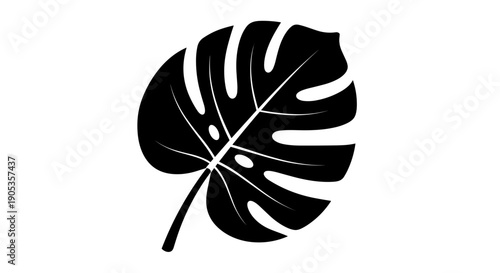 Monstera Deliciosa Leaf Silhouette Black and White 1.