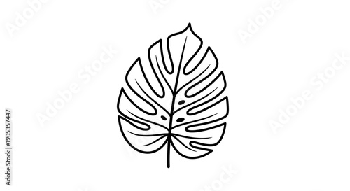 Monstera Leaf Line Art Illustration Simple Tropical Plant.