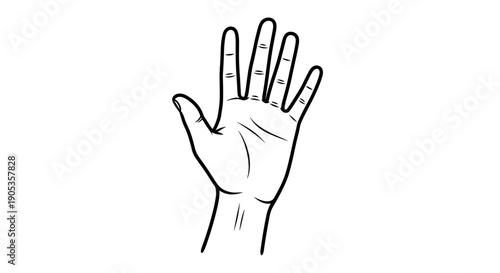 Open Hand Illustration Showing Five Fingers.