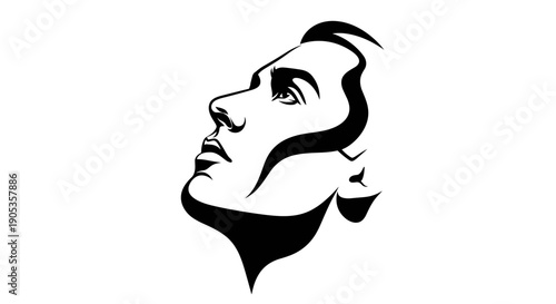 Optical Illusion Double Face Profile Silhouette Art.