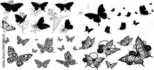 Silhouette of multiple butterflies in flight on white background silhouette