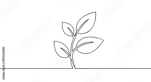 Small plant sprout with four leaves is rendered in a minimalist continuous single line art style, symbolizing growth, nature, new beginnings, and environmental concepts