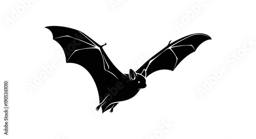 Silhouette of a bat in flight with wings spread wide.
