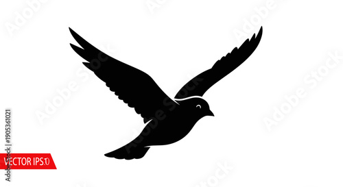 Silhouette of a bird in flight with wings spread wide.