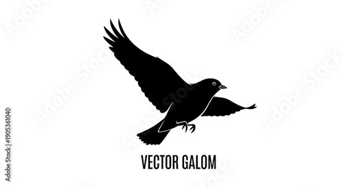 Silhouette of a Bird in Flight with Wings Spread.