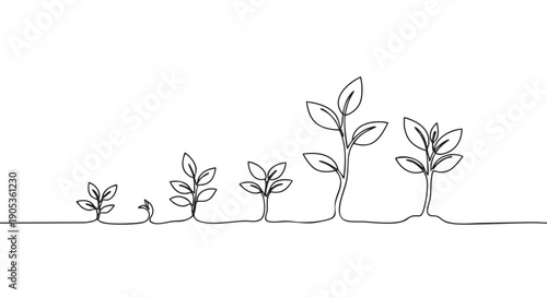 Continuous one line drawing of a plant growing in stages from a small seed sprout to a sapling, illustrating the concept of development, progress, and evolution in a minimalist style
