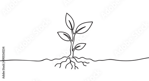 Plant sprout with leaves and roots drawn in a simple, continuous black line art style, a minimalist symbol for life, environment, and organic growth