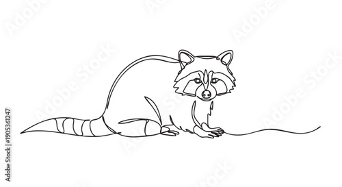 Continuous one line drawing of a wild raccoon sitting and looking forward, a minimalist black and white sketch of a forest animal with a striped tail and masked face