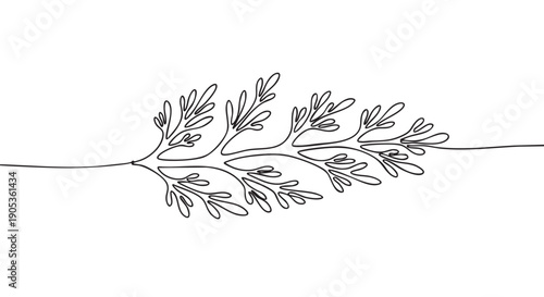 Single continuous line drawing of a botanical sprig with delicate feathery leaves, rendered in a minimalist black and white style for an elegant and modern illustration