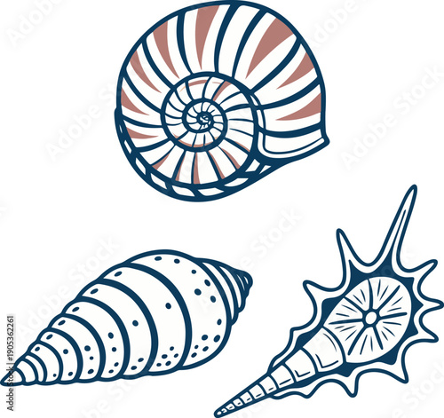 Colorful sea shells vector collection with floral summer patterns and decorative nature design