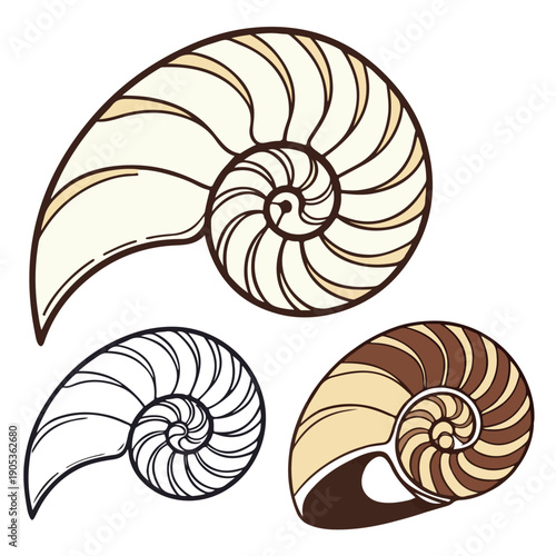 An abstract fractal Fibonacci spiral of a nautilus shell vector illustration features a macro seashell pattern isolated on a white background to represent a life-like ocean mollusk fossil