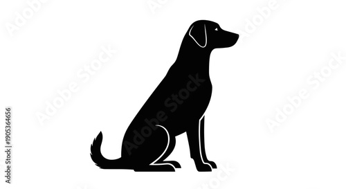 Silhouette of a black Labrador Retriever dog sitting attentively.