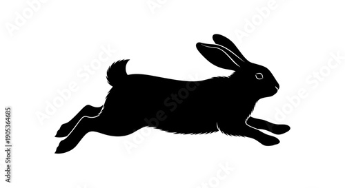 Silhouette of a Black Rabbit in MidLeap.