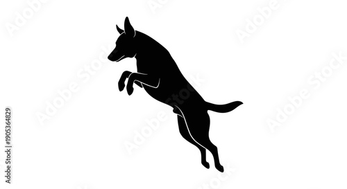 Silhouette of a dog jumping midair.