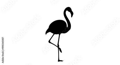 Silhouette of a Flamingo Standing on One Leg 1.
