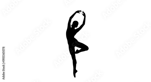 Silhouette of a graceful ballerina in a dynamic pose.