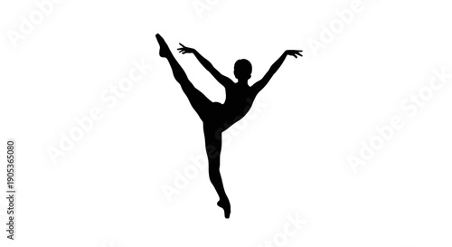 Silhouette of a graceful ballerina performing an elegant dance pose.