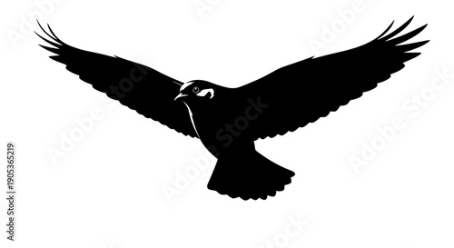 Silhouette of a majestic eagle in flight with wings spread wide 2.