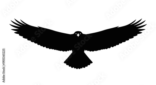Silhouette of a majestic eagle in flight with wings spread wide.