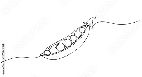 Single continuous line art pea pod is depicted split open, revealing multiple round peas nestled within its minimalist, elegant, and modern black and white illustration