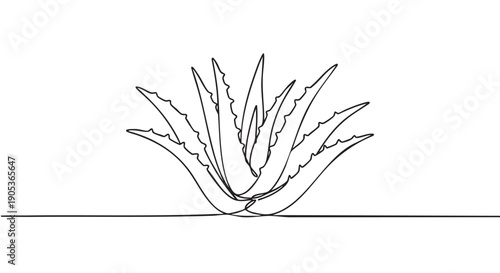 Stylized continuous line drawing of an aloe vera plant, showcasing its distinctive spiky succulent leaves in a minimalist and artistic illustration