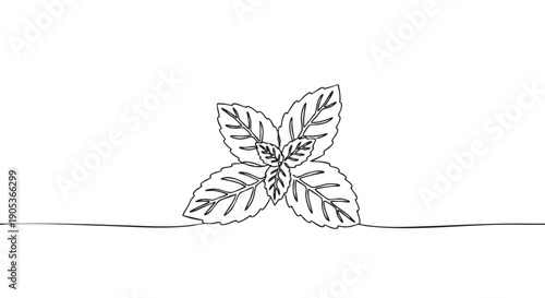 Minimalist continuous line art drawing of fresh mint leaves, showcasing a simple and modern botanical illustration style with clean black lines