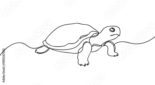Minimalist continuous line art turtle illustration, gracefully depicted in a single flowing black stroke, showcasing its distinctive shell and limbs in a simple, elegant style