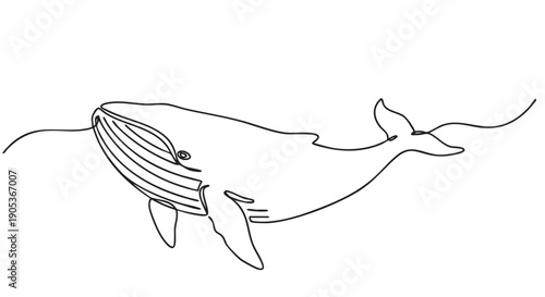 Majestic blue whale drawn in a continuous line art style, gracefully swimming with elegant simplicity and a minimalist artistic aesthetic