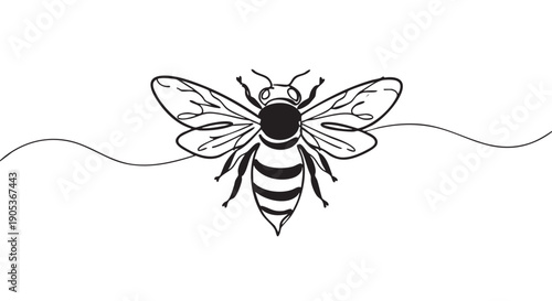 Minimalist black and white line art bee illustration is depicted with a continuous single wavy line extending from its delicate wings, showcasing a graphic and artistic style