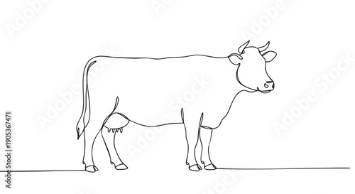 Continuous single line art drawing of a cow with horns and an udder, standing in a minimalist and artistic style, showcasing its full body from a side view