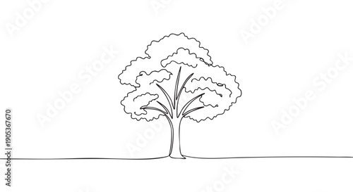Minimalist continuous line drawing of a tree with a full canopy, rendered in a simple, elegant black and white illustration style