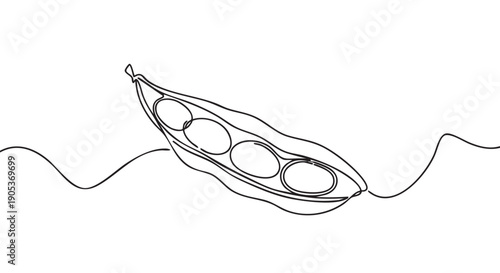 Minimalist continuous line drawing of an open pea pod with several round peas visible inside, rendered in a simple, elegant artistic style with flowing black lines