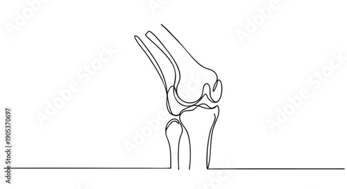 Continuous line drawing of a human knee joint, rendered in a minimalist artistic style, illustrating the complex anatomy and structure with elegant simplicity
