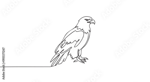 Majestic powerful black line art eagle stands in a minimalist continuous single line drawing style, showcasing its sharp beak and intense gaze from a side profile
