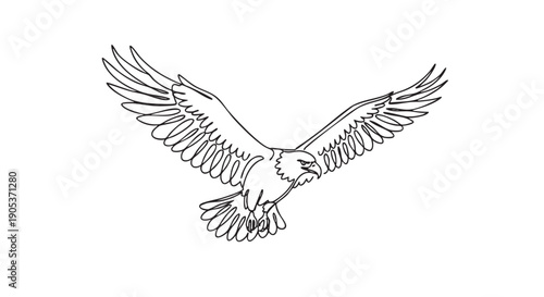 Majestic black outline drawing of a flying eagle with powerful spread wings, captured in a dynamic downward swoop, showcasing its fierce expression and graceful movement