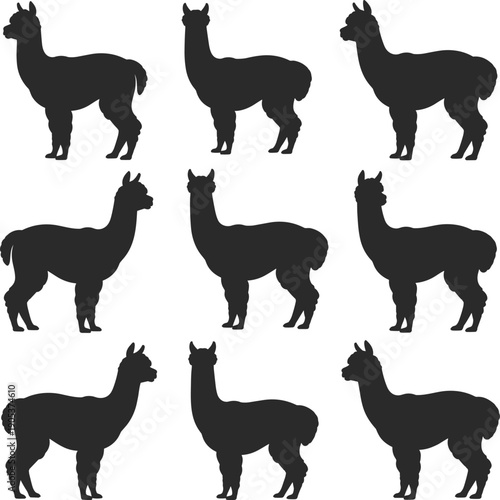 Alpaca silhouette set, llama farm animals standing profile poses, cute livestock wildlife concept, black flat vector illustration, isolated, minimal, design
