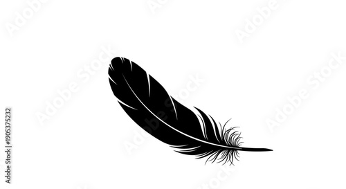 Single Black Feather Isolated on White Background 1.