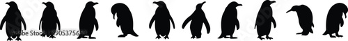 Penguin Flat Style Vector Black Icon Set, Antarctic Bird Silhouette Symbol Collection and Wildlife Outline Graphic Group Featuring Penguin, Seabird and Flightless Bird