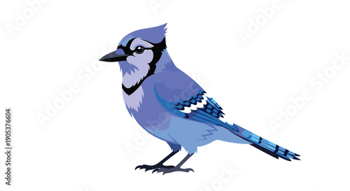 Detailed illustration of a blue jay bird features its characteristic blue feathers and crest against a plain white background.