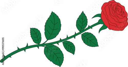 Single red rose with green leaves and thorns isolated on transparent background