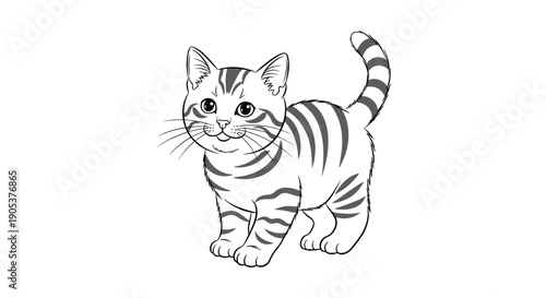 Cute black and white line art illustration shows a small striped kitten standing and looking forward with its tail raised.