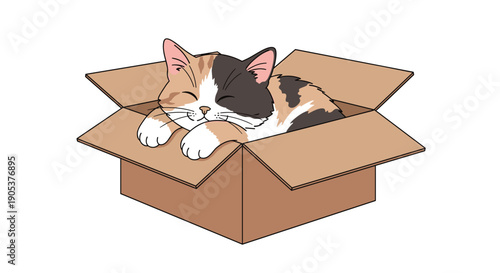 Adorable calico kitten is sleeping soundly inside an open cardboard box with its paws tucked and eyes closed peacefully.