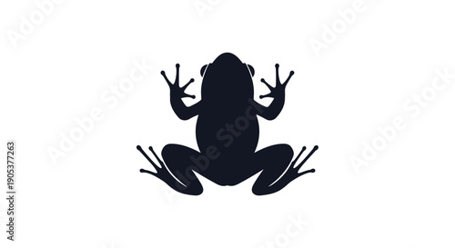 Clean black silhouette of a frog as seen from above showing its rounded body and long thin fingers and toes against a white background.